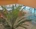 Hotel Magistern Konferencia & Wellness - Ny�rk�sz�nt� (min. 3 �j)