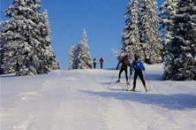 Sípálya - a Szalajka Liget Wellness & Konferencia Hotel ajánlásával