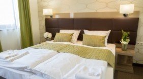Nádas Tó Park Hotel Vasad