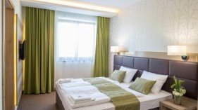 Nádas Tó Park Hotel Vasad