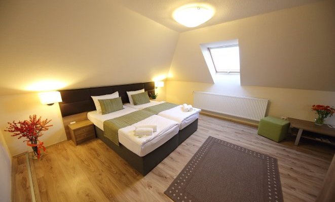 Nádas Tó Park Hotel Vasad