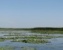 Téli szafari a Tisza-tó mocsárvilágában