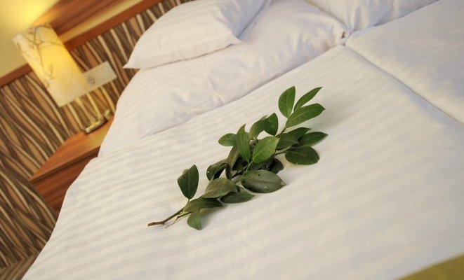 Park Hotel Gyula