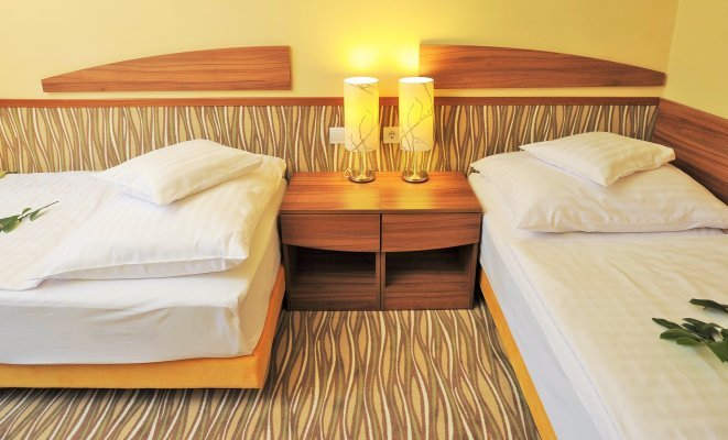 Park Hotel Gyula