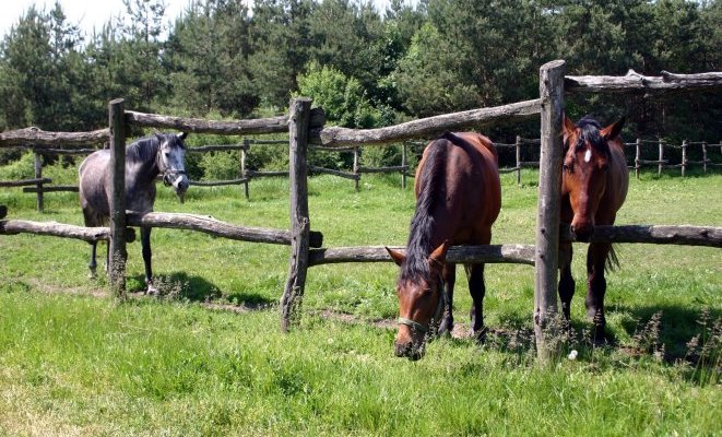 Teleki-Degenfeld Kastélyszálló Szirák