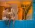 V�rtes Konferencia �s Wellness Hotel - �jra v�r a Balatoni ny�r (min. 5 �j)