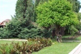  - Zs�ry Hotel Fit, Mez�k�vesd