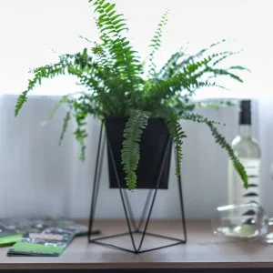 4 Évszak Völgyhotel Mátrafüred - Szilveszter