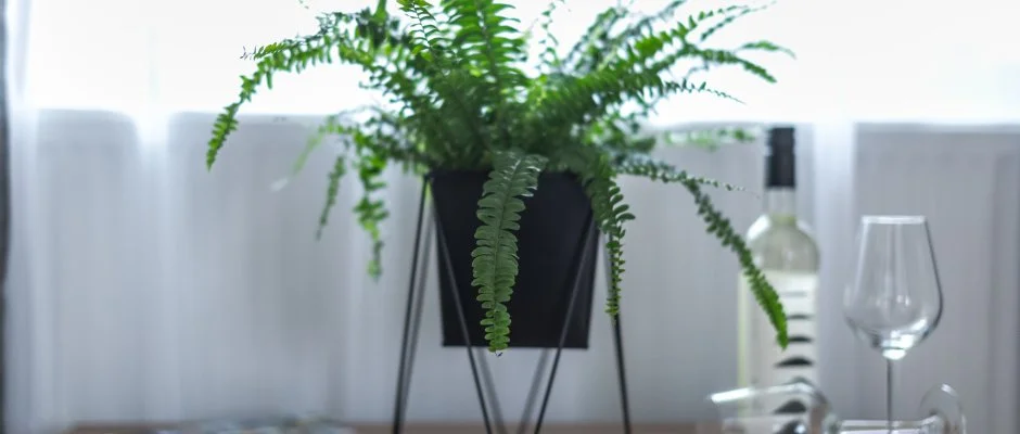 4 vszak Vlgyhotel Mtrafred