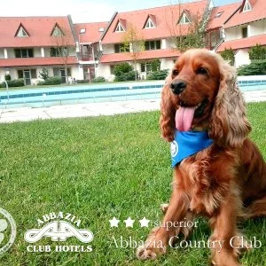  Nemesnép - Húsvét - teljes előrefizetéssel (min. 2 éj)