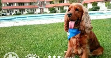 H�sv�t (min. 2 �j)