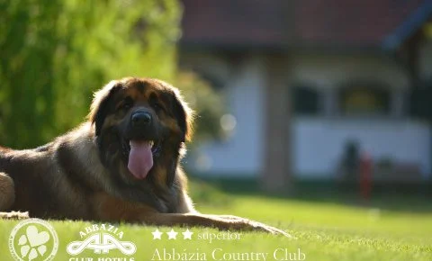 Abbázia Country Club Nemesnép - Március 15.