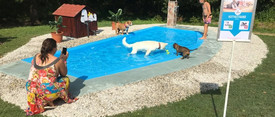 Abbzia Country Club Nemesnp