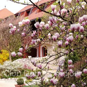 Club Dobogómajor Cserszegtomaj - Húsvét - teljes előrefizetéssel (min. 2 éj)