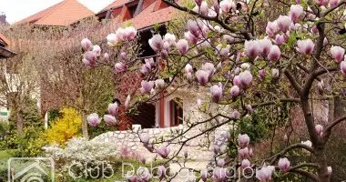 Hsvt - teljes elrefizetssel (min. 2 j)