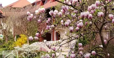 H�sv�t (min. 2 �j)