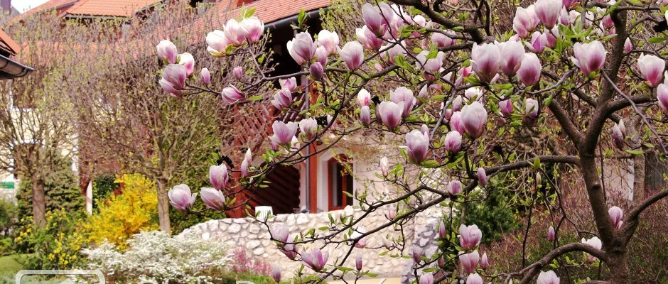 Club Dobogmajor Cserszegtomaj