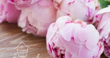 Admir�l Villa Kehida - P�nk�sdi kir�lys�g