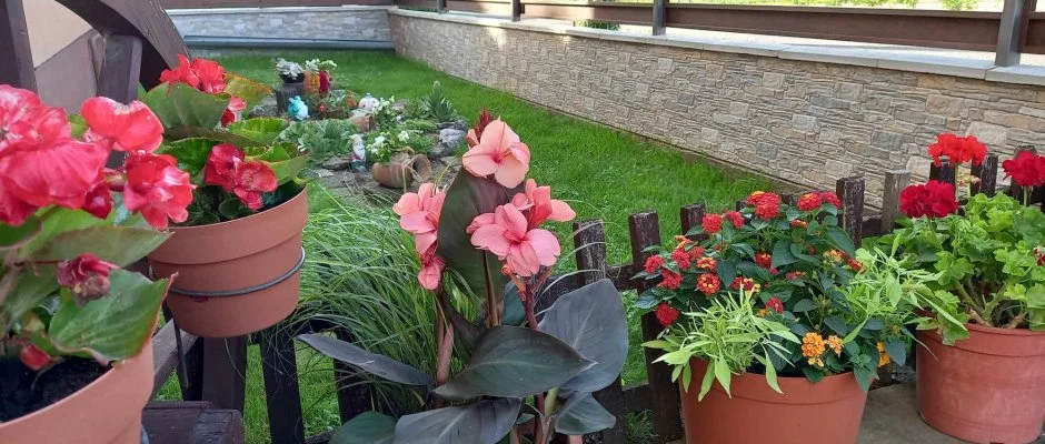 gica Vendghz Hajdszoboszl