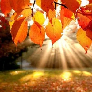  Miskolctapolca - Őszi wellness (min. 2 éj)