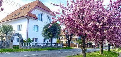 Amadeus Panzi Hvz - Hrom jszaks wellness akcik