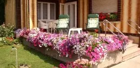 Am�lia Apartman - Legjobb �r