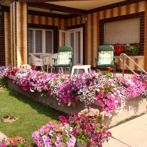 Amália Apartman Gyula - Legjobb ár 