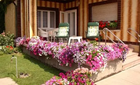 Amália Apartman Gyula - Legjobb ár 