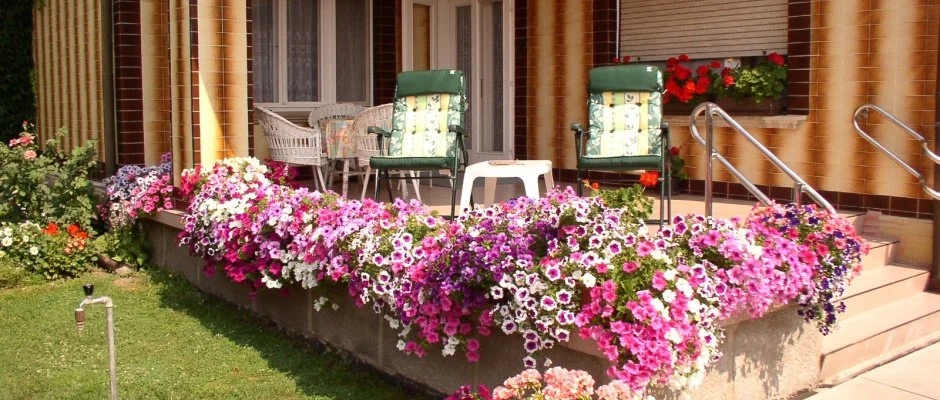 Amlia Apartman Gyula