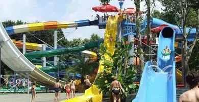 dls Harknyban, frdbelpvel (min. 5 j)