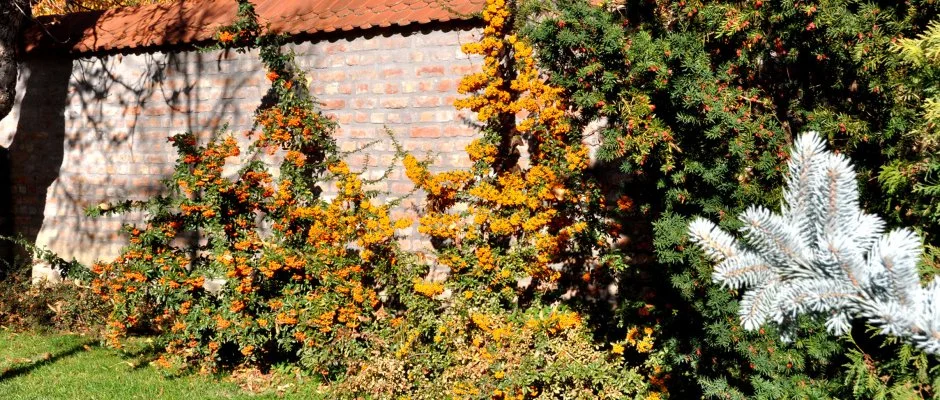 Ametiszt Hotel Harkny