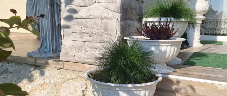 Andrea & Mnika Apartman 2 Harkny