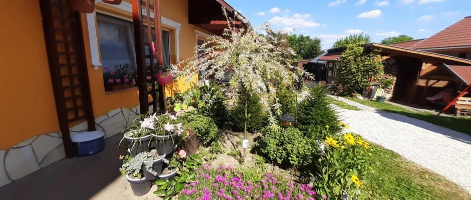 Andrea Vendghz Kehidakustny