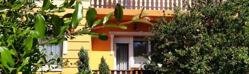 Andrea Vend�gh�z 