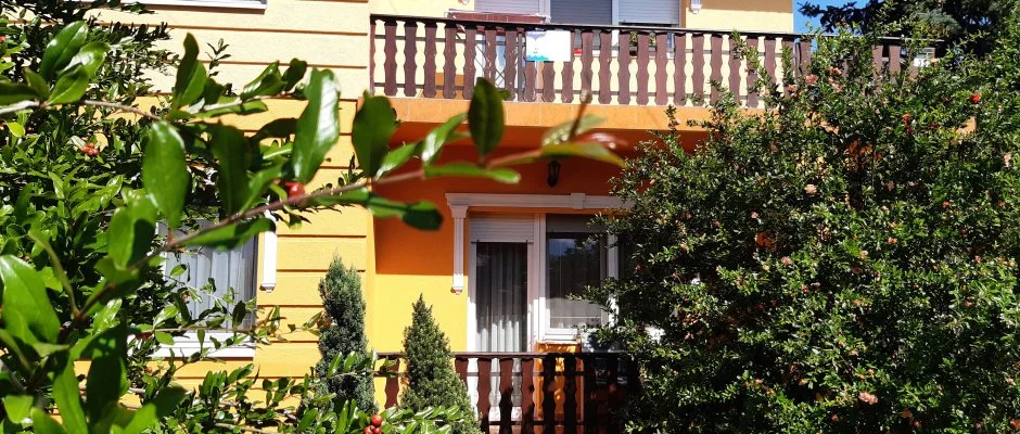 Andrea Vendghz Kehidakustny