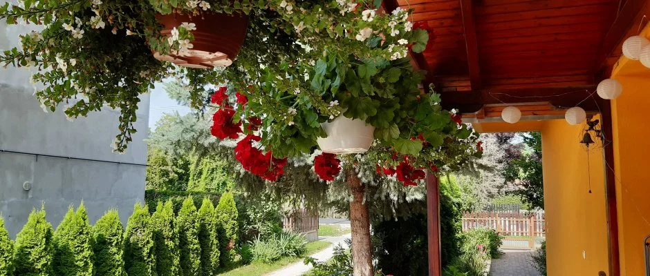 Andrea Vendghz Kehidakustny