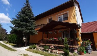 Andrea Vendghz Kehidakustny