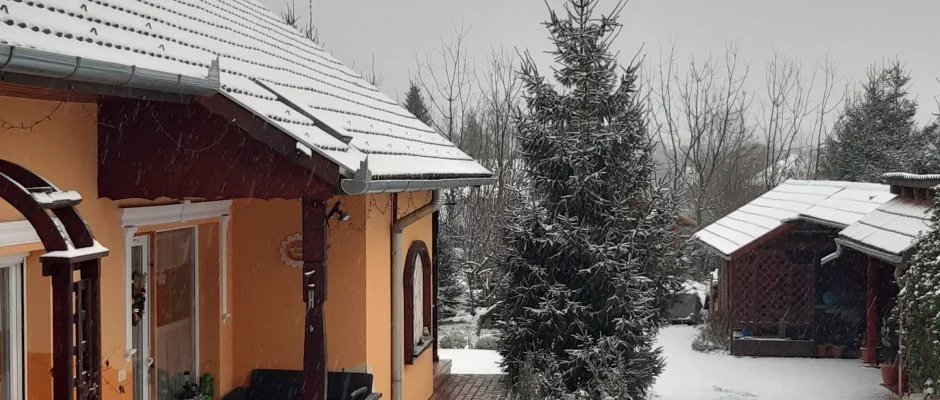 Andrea Vendghz Kehidakustny