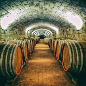  Rátka - Dűlőtúra az Angyal Borászatnál Tokaj-Hegyalján, félpanziós ellátással, dupla borkóstolóval (min. 2 éj)