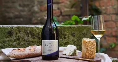 Tavaszi bor �s �lm�ny h�tv�ge az Angyal Bor�szatn�l f�lpanzi�s ell�t�ssal, bork�stol�val (min. 2 �j)