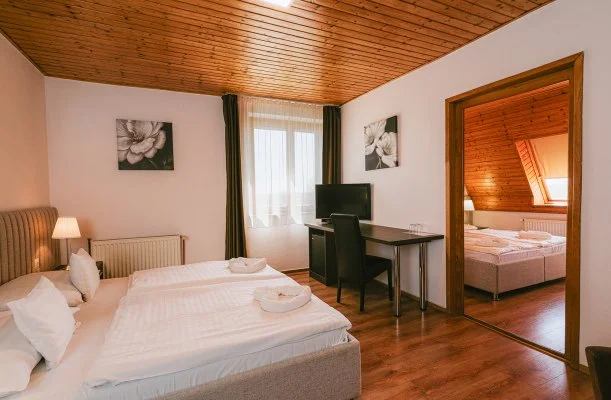 Aqua Hotel Gyula Aqua Hotel Gyula