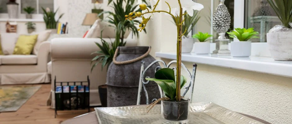 Aquasol Resort Mosonmagyarvr