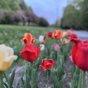  Zalakaros - Május 1. (min. 2 éj)