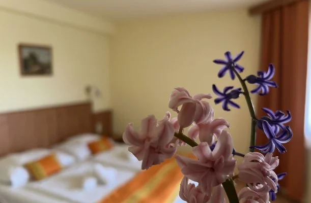 Aquatherm Hotel Zalakaros