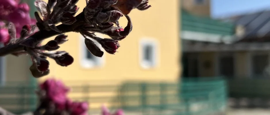 Aquatherm Hotel Zalakaros