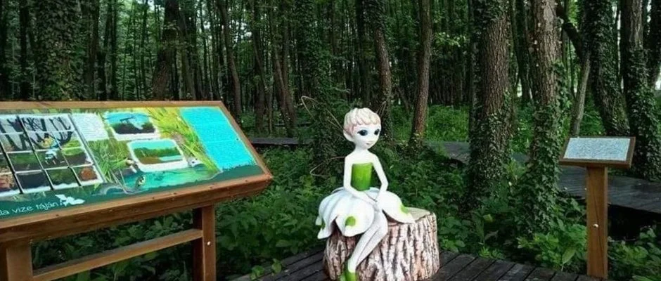 Arany Apartmanhz Zalagyngye Zalakaros