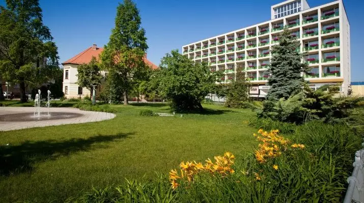 Aranyhomok Hotel Kecskemt