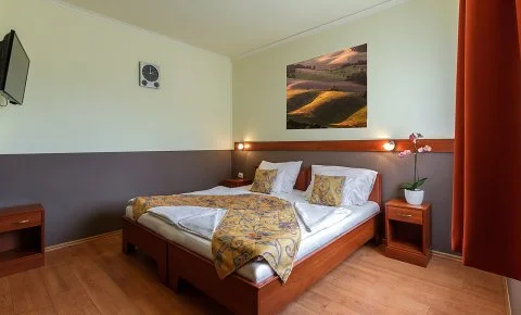 Aranypatkó Panzió Győrújbarát - Napi árak