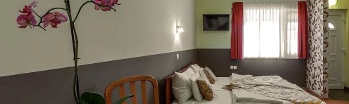 Aranypatkó Panzió