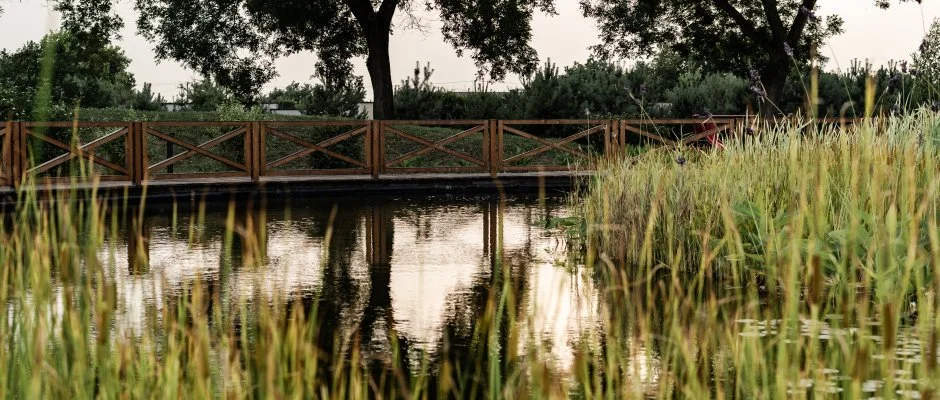 Arcanum Hotel Bkscsaba